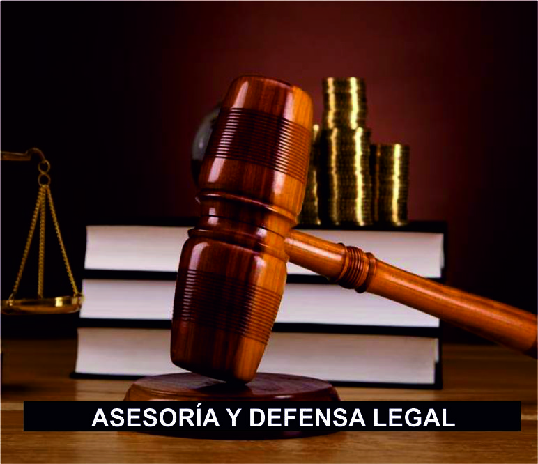 abogados de primera